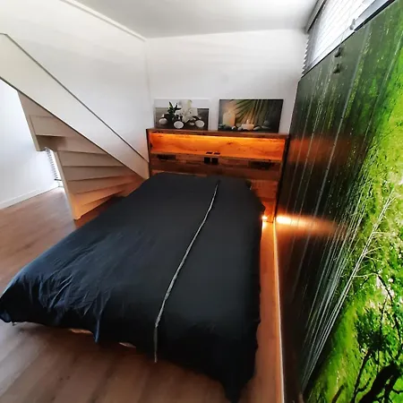 Beautiful Close To Sea Life 51a *