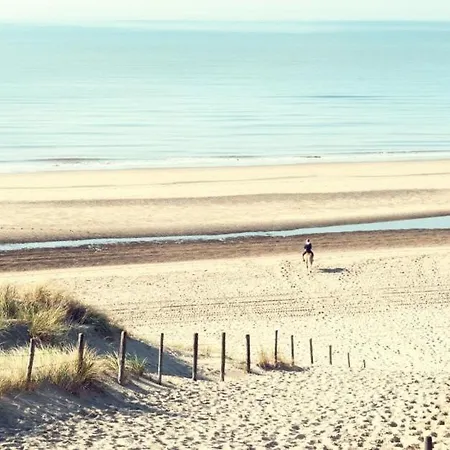 Beautiful Close To Sea Life 51a * Noordwijk