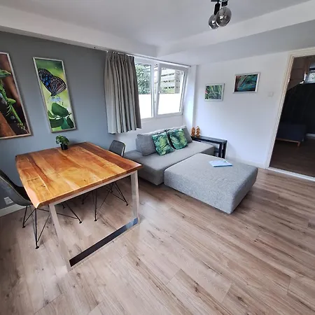 Beautiful Close To Sea Life 51a *